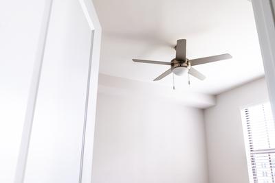 Ceiling Fan Medium.jpg